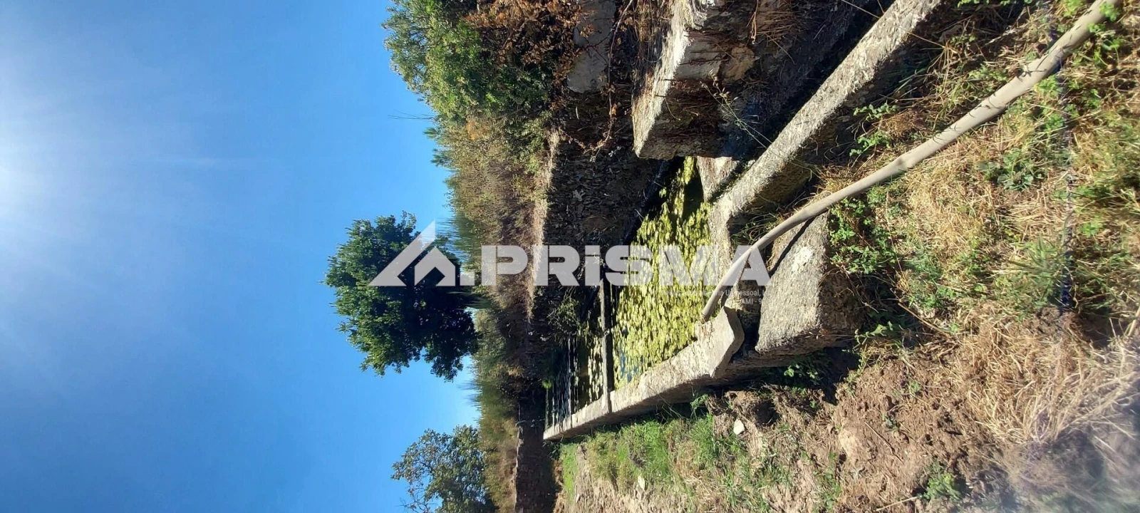 Quinta T3 para Venda em Penamacor Foto 17