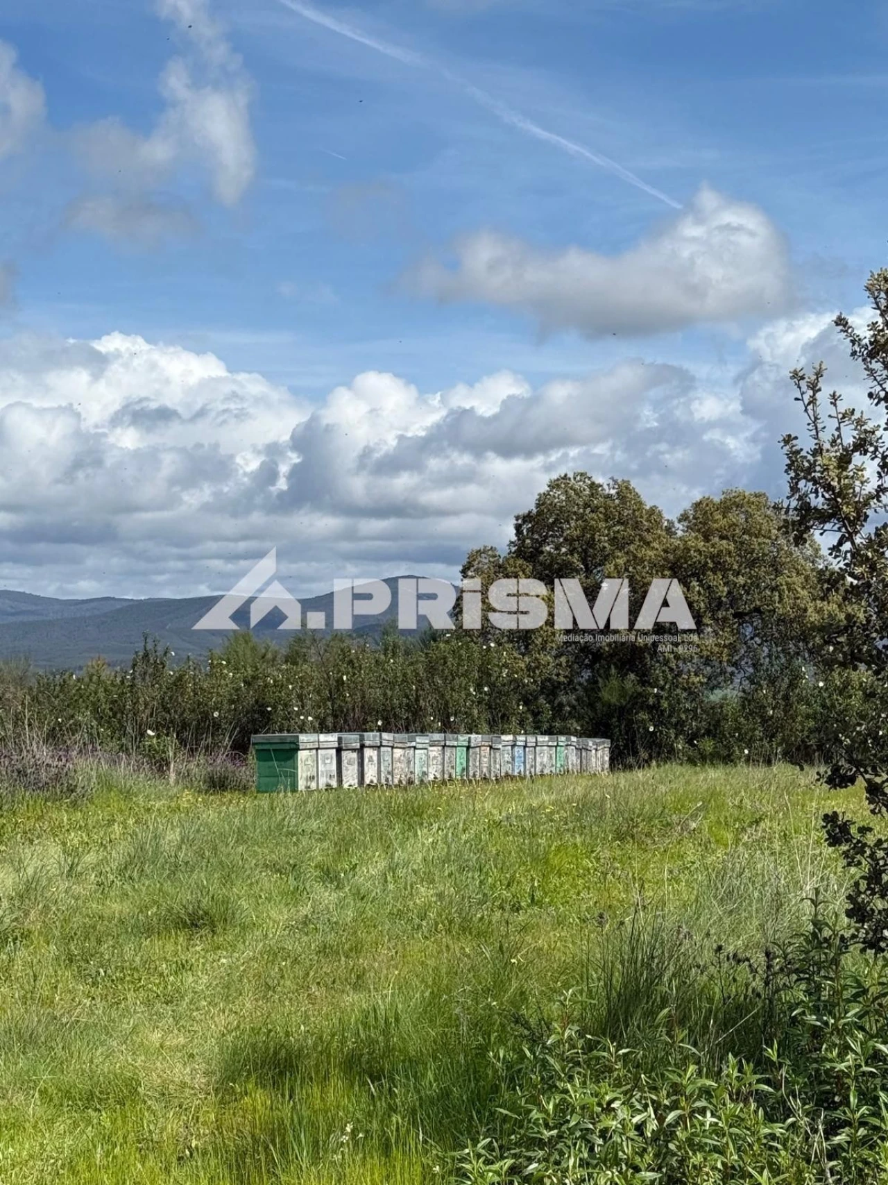 Quinta T3 para Venda em Penamacor Foto 28