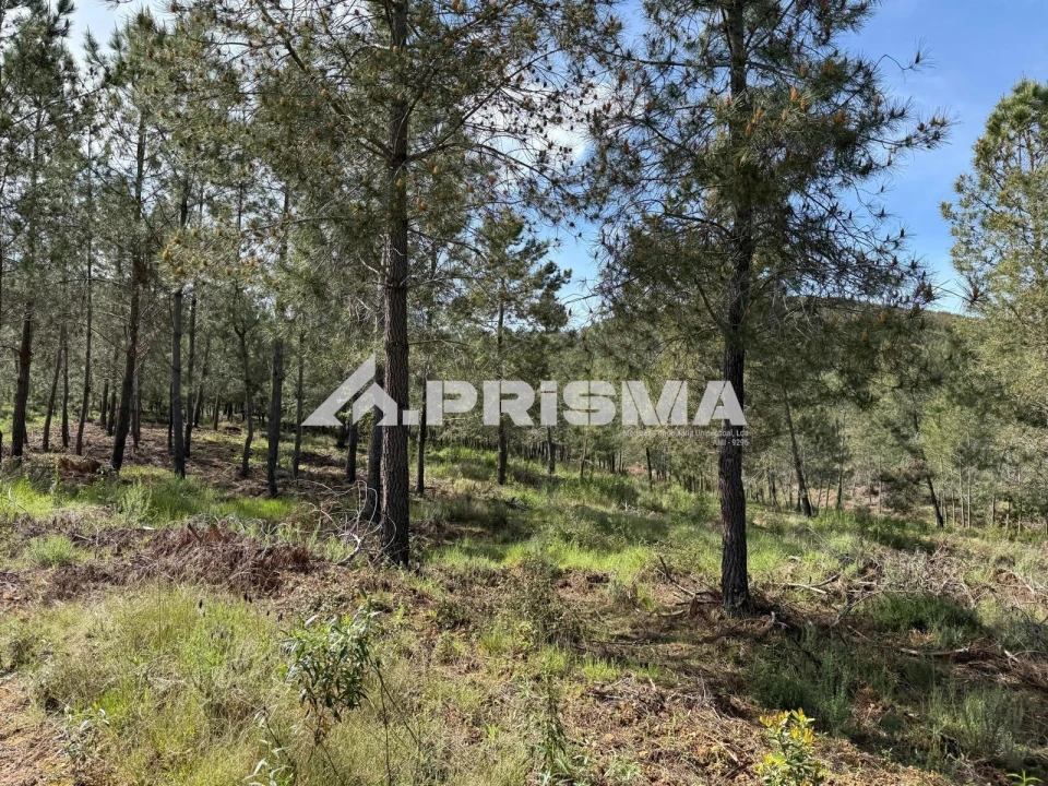 Quinta T3 para Venda em Penamacor Foto 34