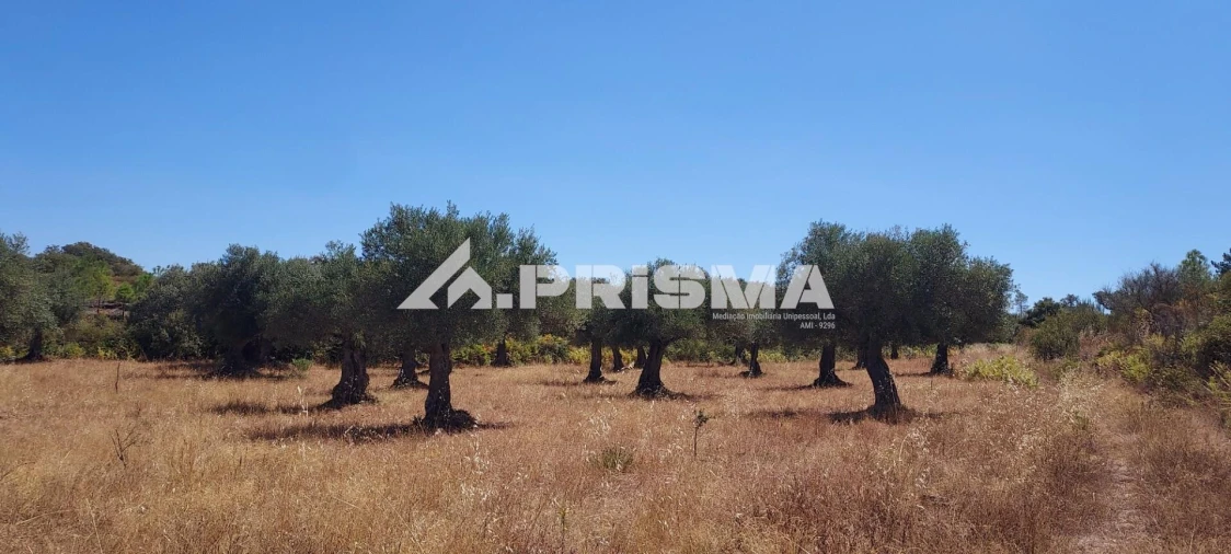 Quinta T3 para Venda em Penamacor Foto 20