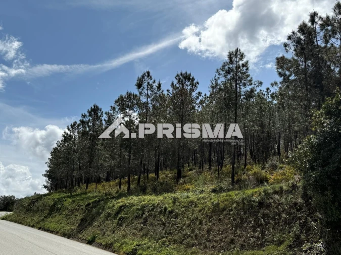 Quinta T3 para Venda em Penamacor Foto 37