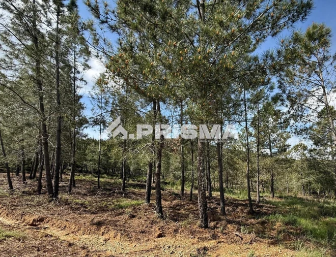 Quinta T3 para Venda em Penamacor Foto 35