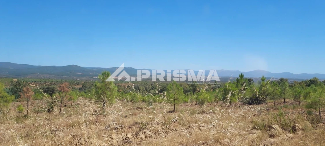 Quinta T3 para Venda em Penamacor Foto 19