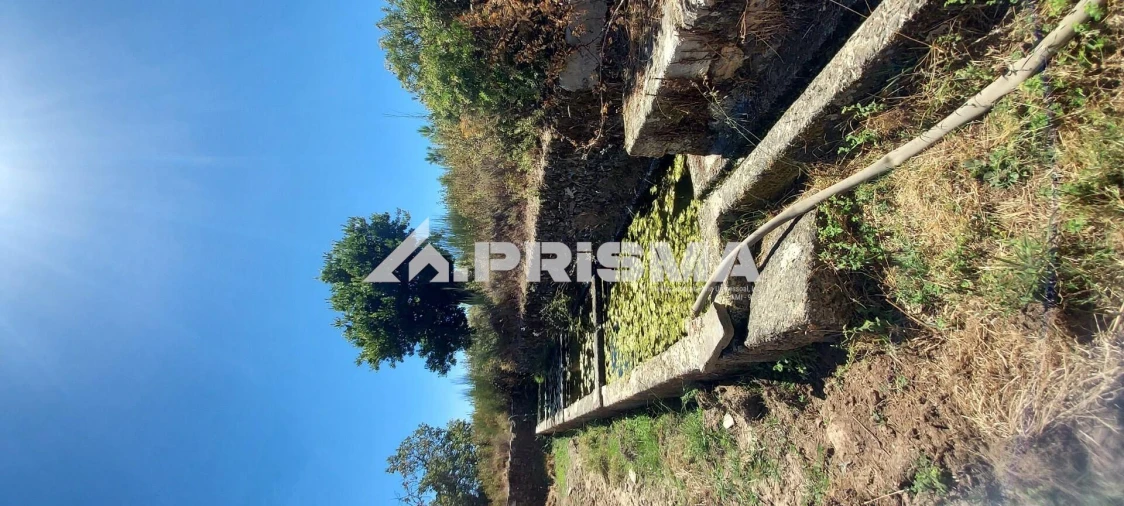 Quinta T3 para Venda em Penamacor Foto 17