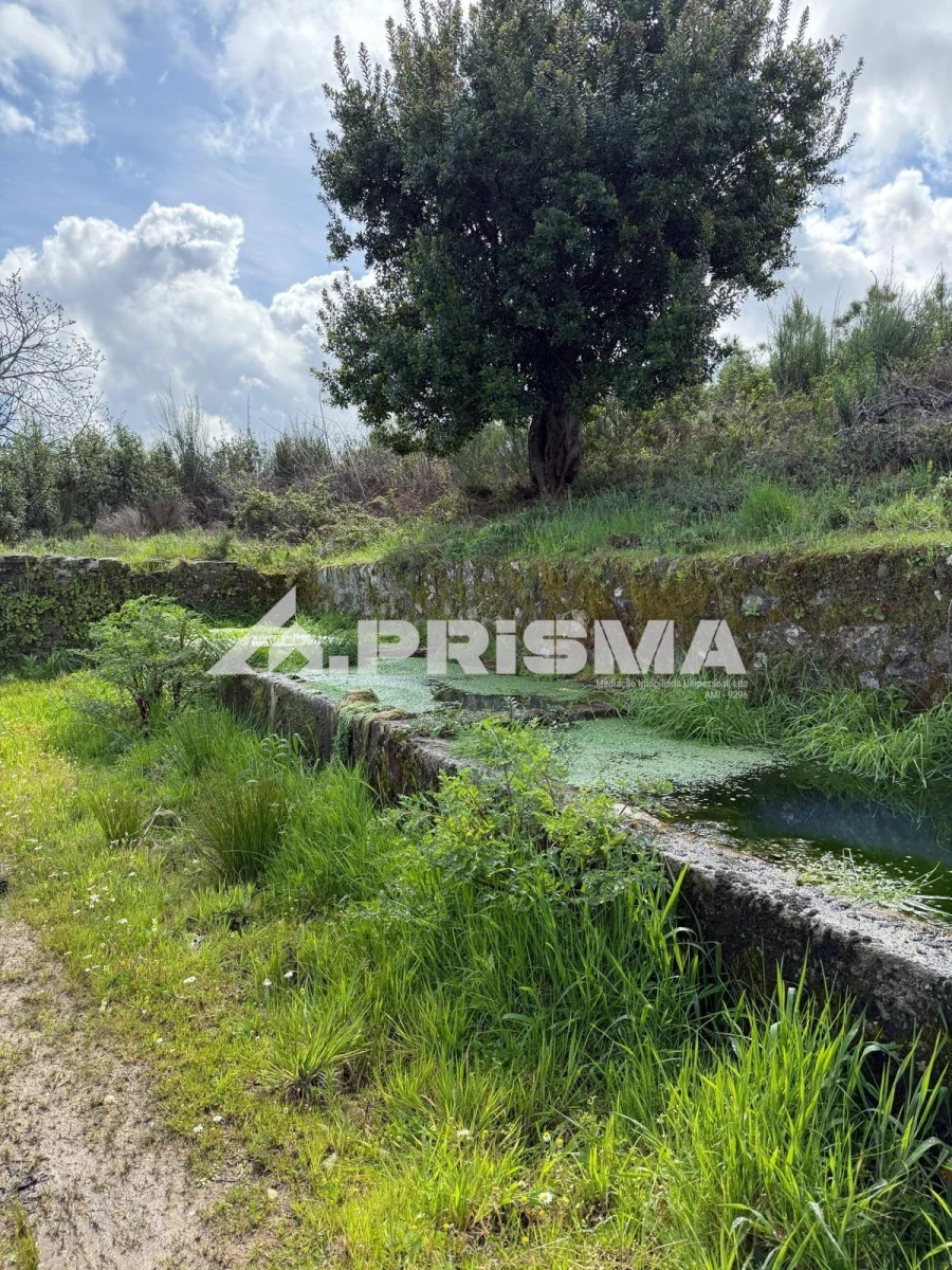 Quinta T3 para Venda em Penamacor Foto 29