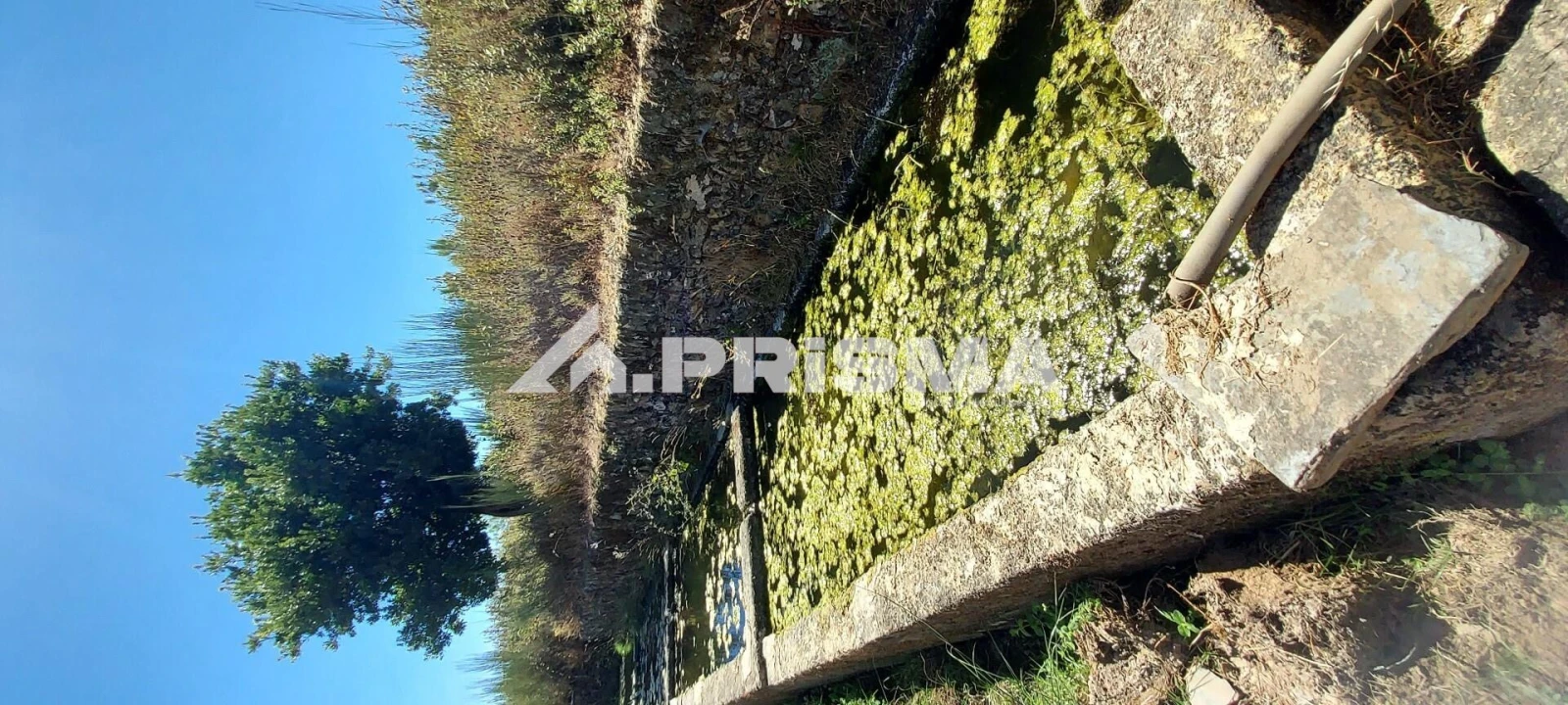 Quinta T3 para Venda em Penamacor Foto 18