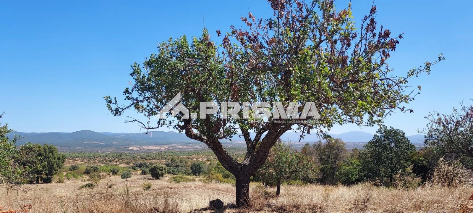 Quinta T3 para Venda em Penamacor Foto 13