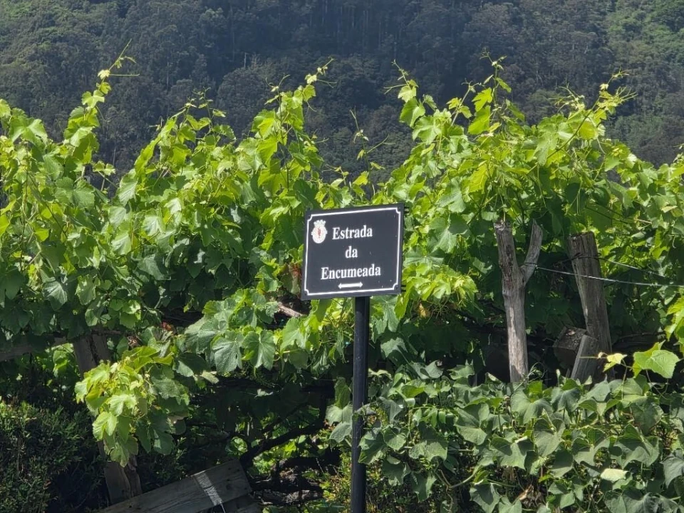 Terreno para Venda em São Vicente Foto 21
