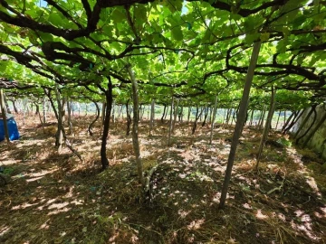 Terreno para Venda em São Vicente