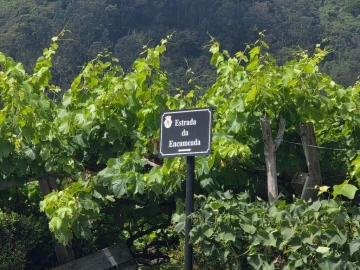 Terreno para Venda em São Vicente