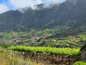 Terreno para Venda em São Vicente