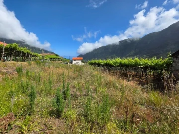 Terreno para Venda em São Vicente