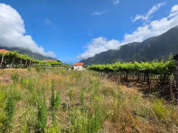 Terreno para Venda em São Vicente