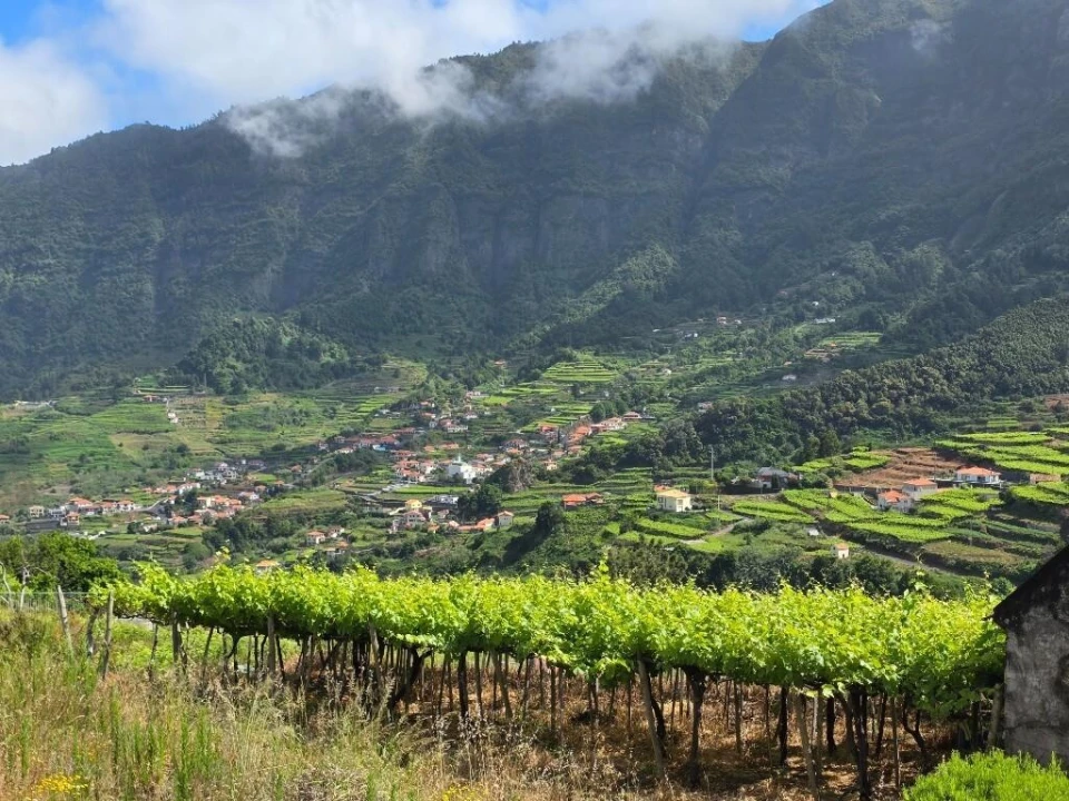Terreno para Venda em São Vicente Foto 3