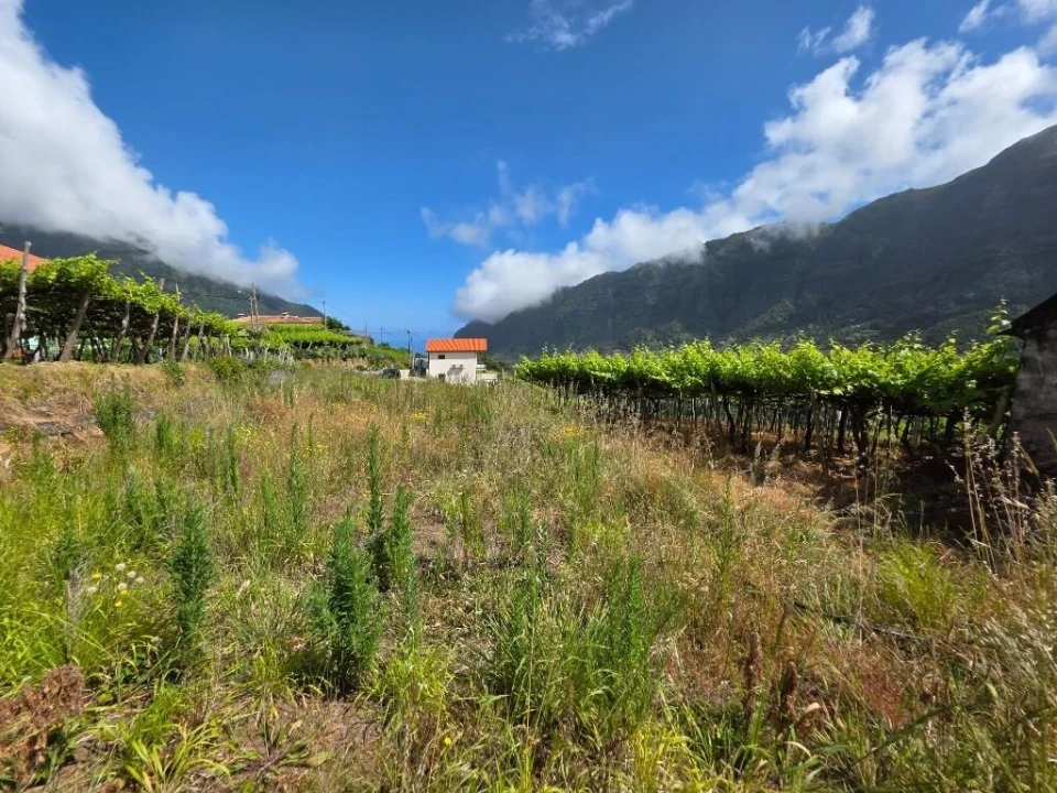 Terreno para Venda em São Vicente Foto 13