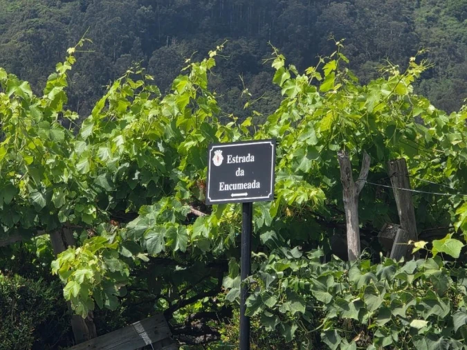 Terreno para Venda em São Vicente Foto 21