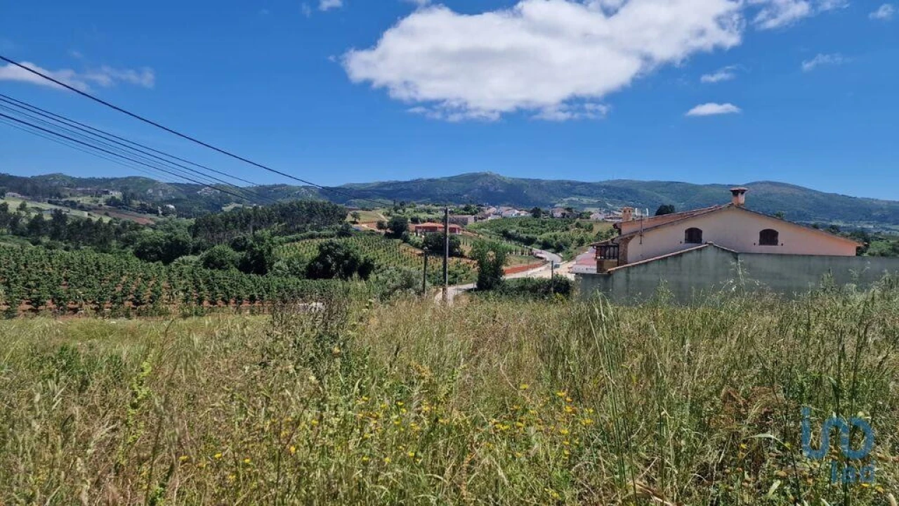 Terreno para Venda em Lamas e Cercal Foto 5