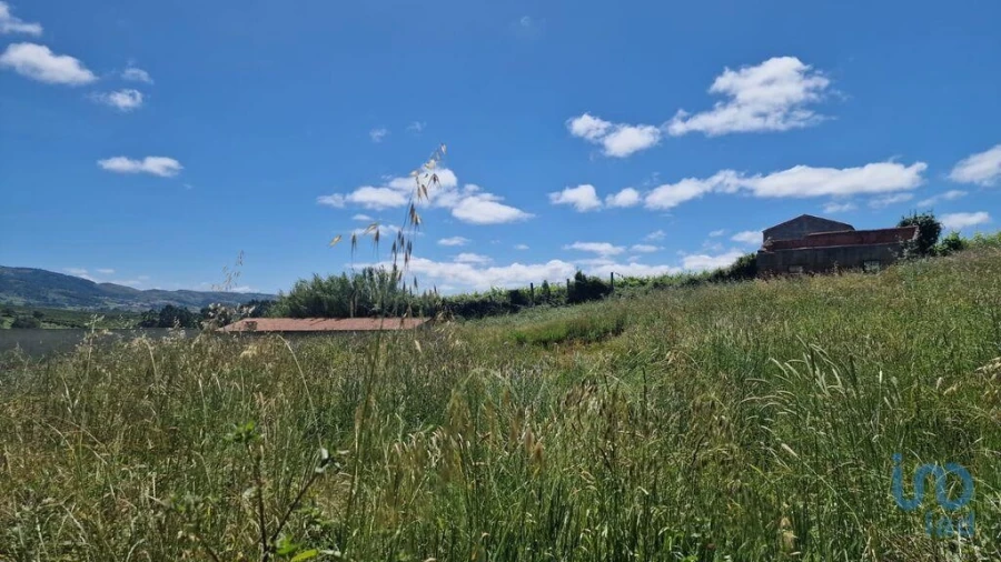 Terreno para Venda em Lamas e Cercal Foto 6