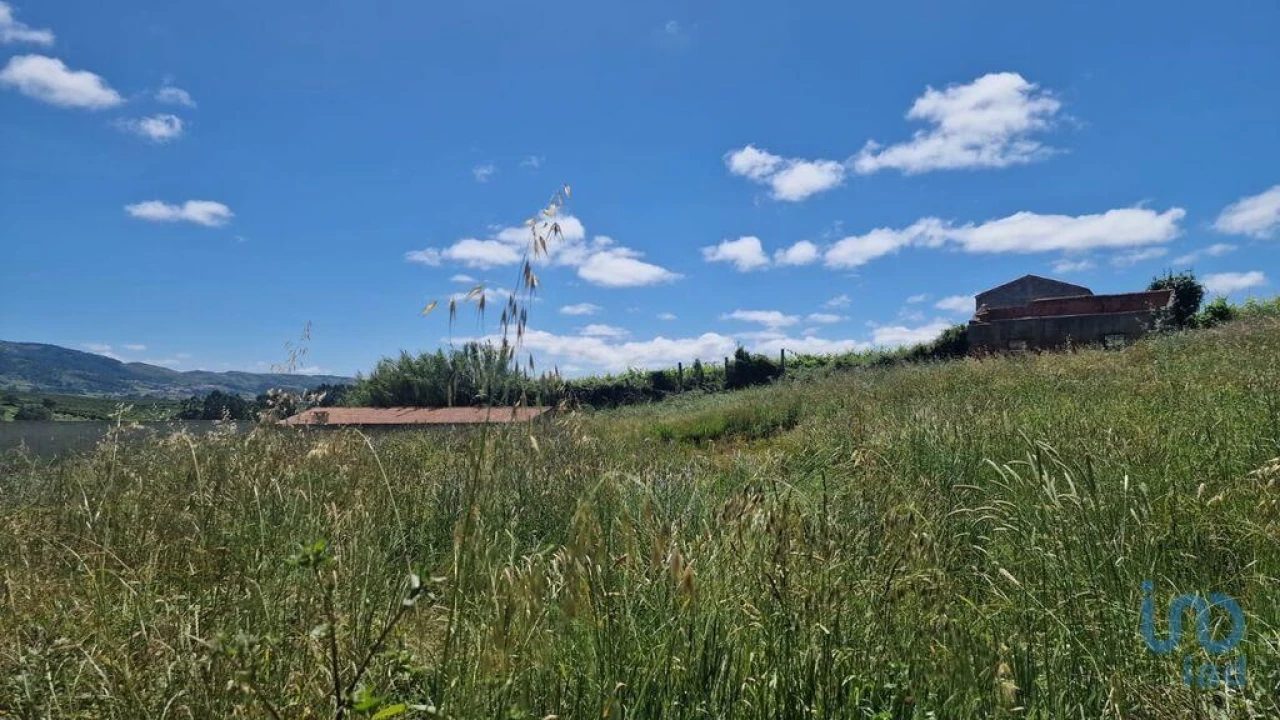 Terreno para Venda em Lamas e Cercal Foto 6