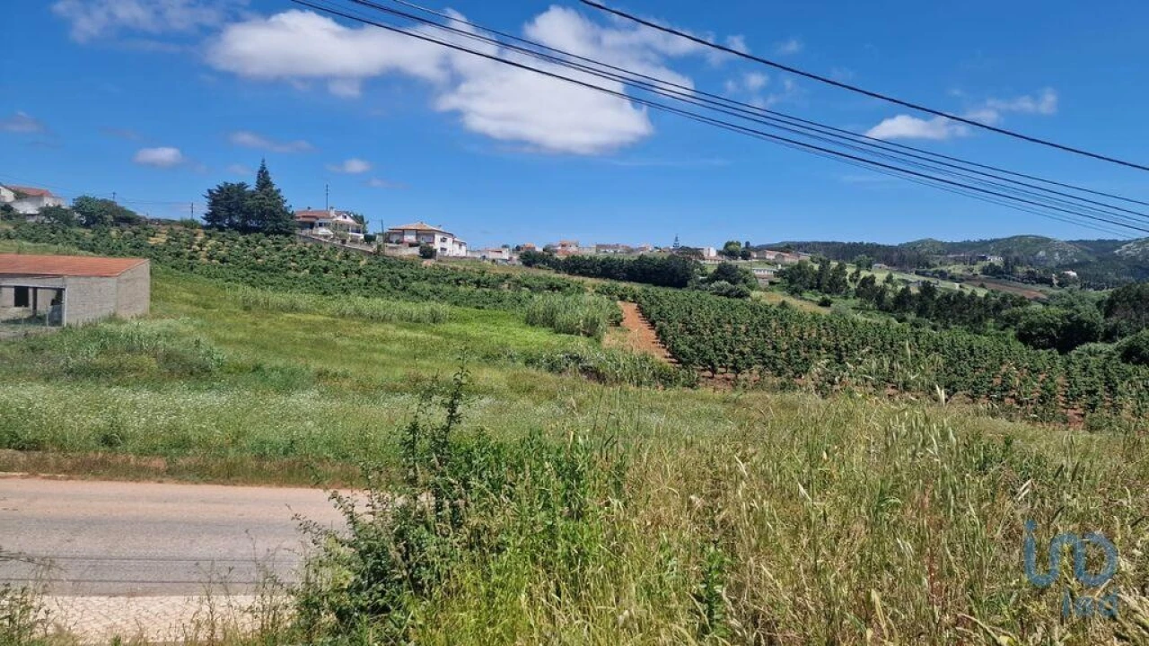 Terreno para Venda em Lamas e Cercal Foto 7