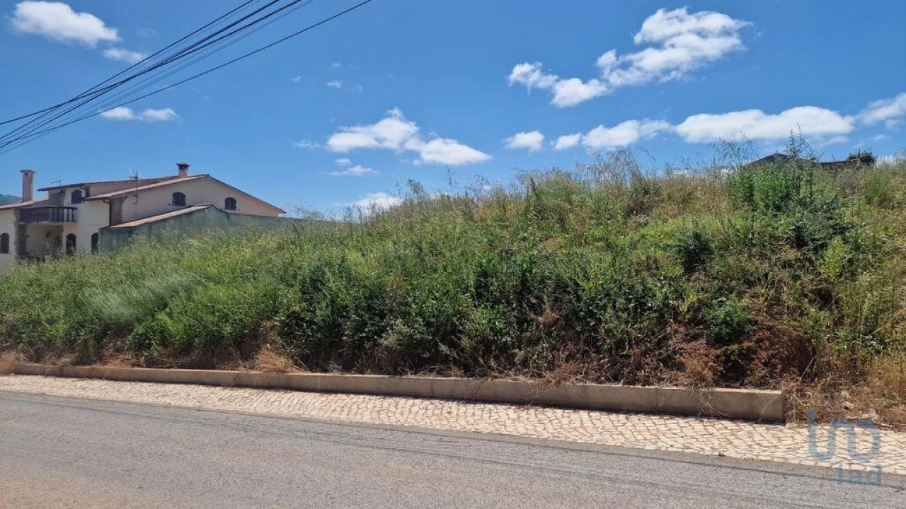 Terreno para Venda em Lamas e Cercal Foto 3