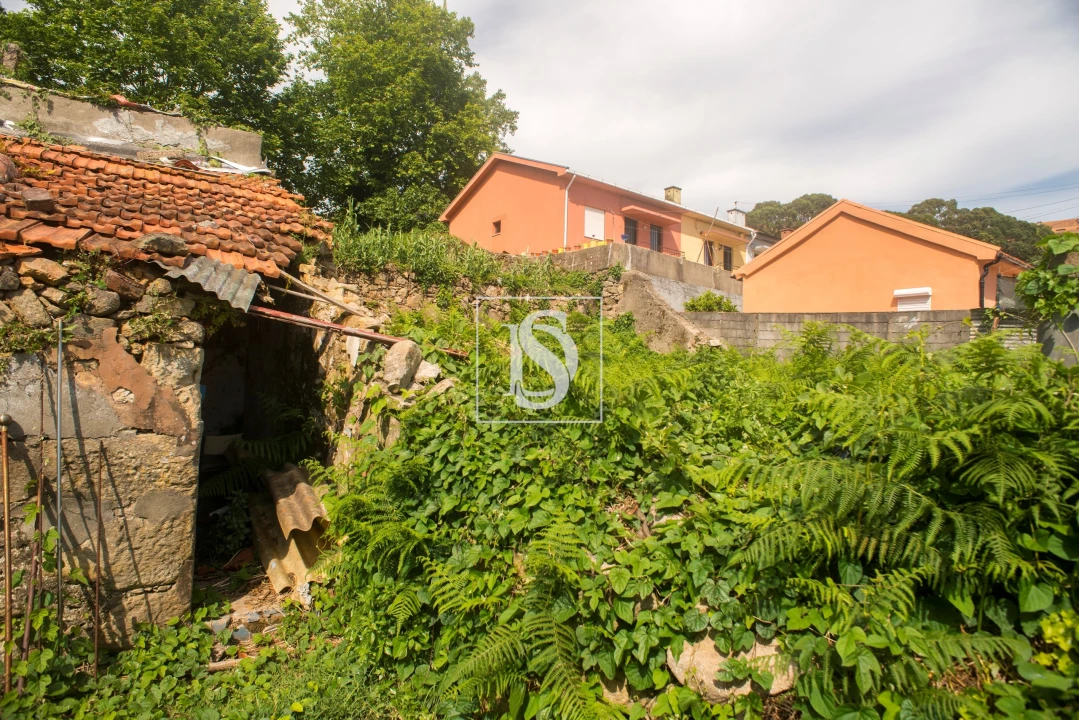 Terreno para Venda em Santa Marinha Foto 4