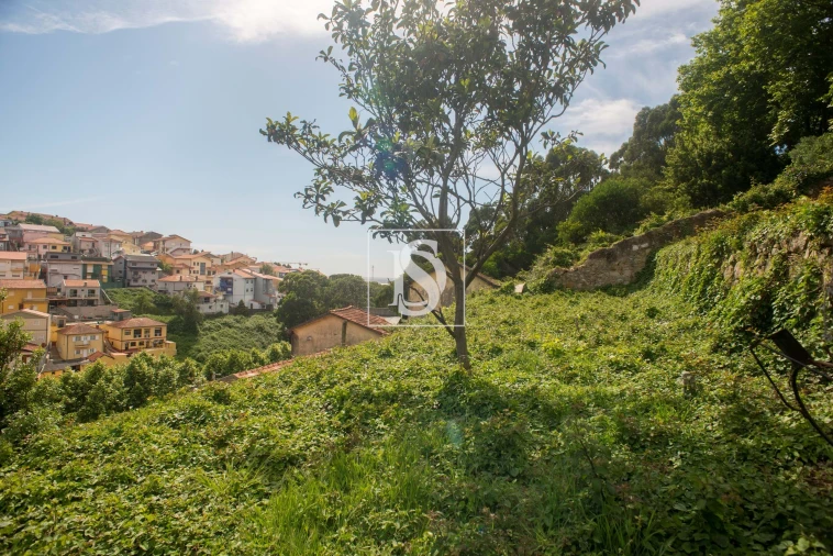 Terreno para Venda em Santa Marinha Foto 5