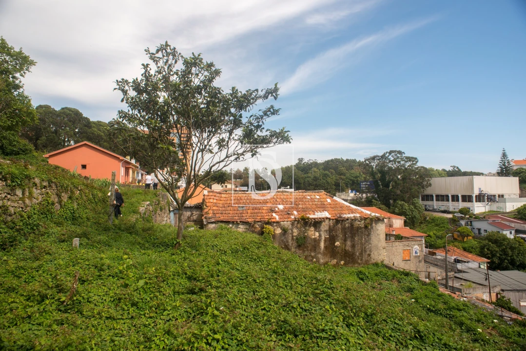 Terreno para Venda em Santa Marinha Foto 6