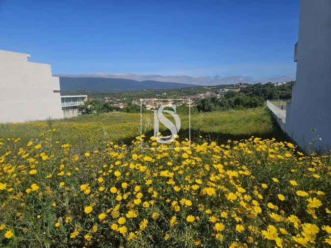 Terreno para Venda em Torres Novas (São Pedro), Lapas e Ribeira Branca Foto 2