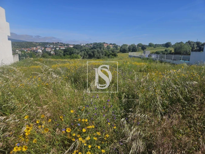 Terreno para Venda em Torres Novas (São Pedro), Lapas e Ribeira Branca Foto 1
