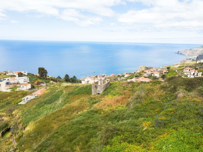 Moradia T2 para Venda em Ribeira Brava Foto 8