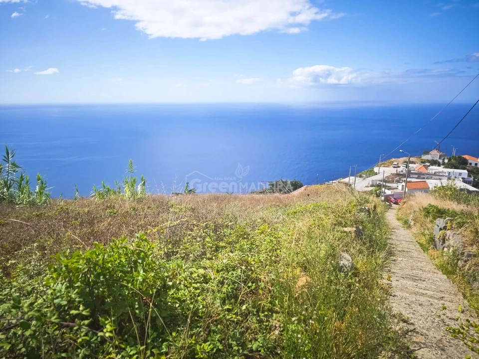 Moradia T2 para Venda em Ribeira Brava Foto 3
