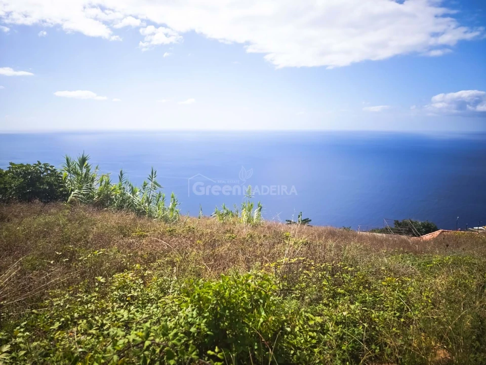 Moradia T2 para Venda em Ribeira Brava Foto 1