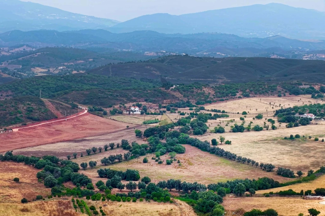 Terreno para Venda em Mexilhoeira Grande Foto 4
