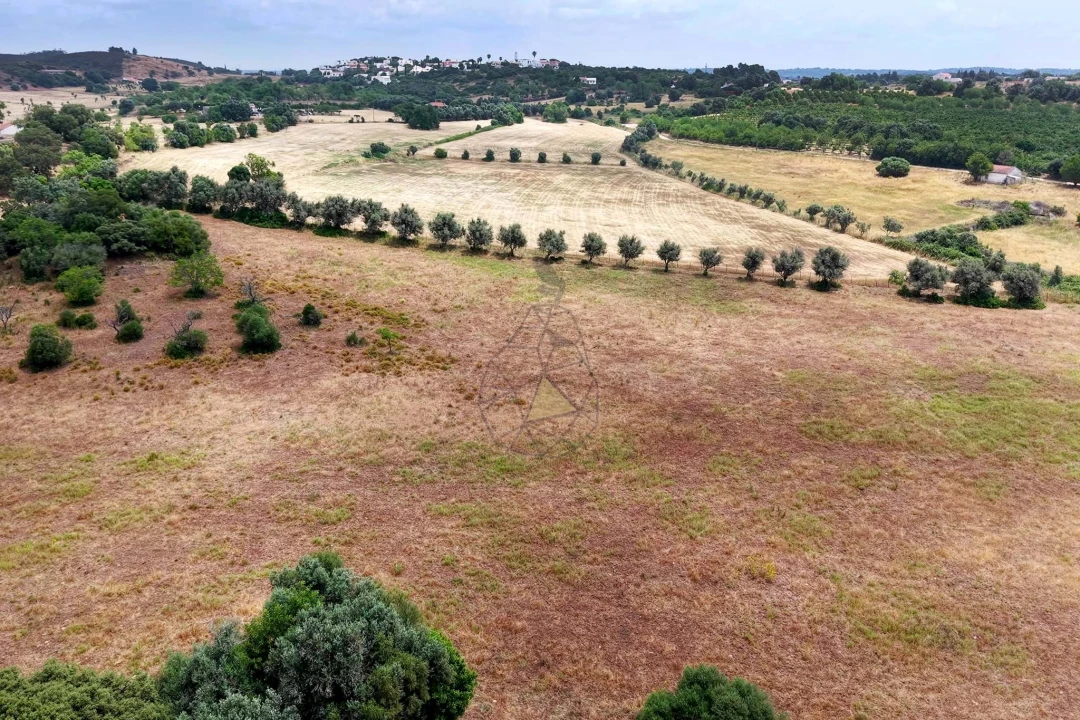 Terreno para Venda em Mexilhoeira Grande Foto 13