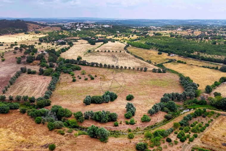 Terreno para Venda em Mexilhoeira Grande Foto 15