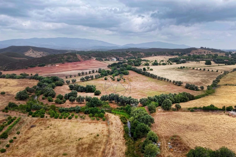 Terreno para Venda em Mexilhoeira Grande Foto 7