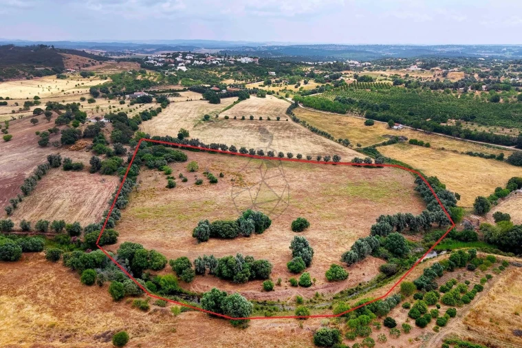 Terreno para Venda em Mexilhoeira Grande Foto 3