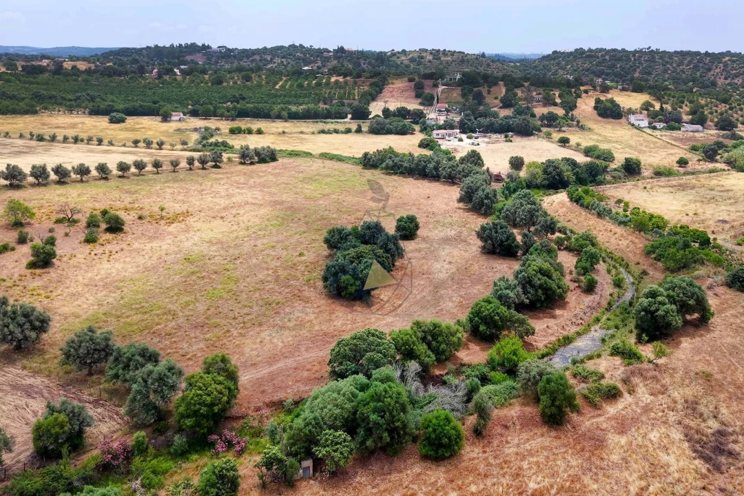 Terreno para Venda em Mexilhoeira Grande Foto 12