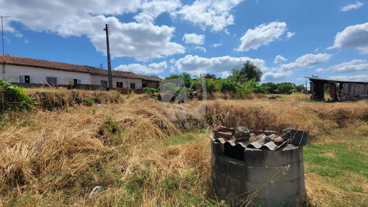 Quinta T4 para Venda em Sarzedas Foto 69