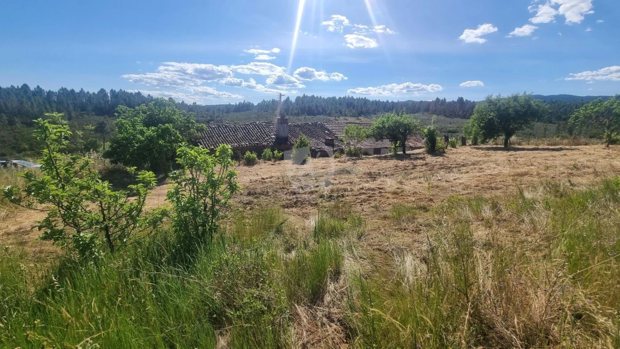 Quinta T4 para Venda em Sarzedas Foto 44