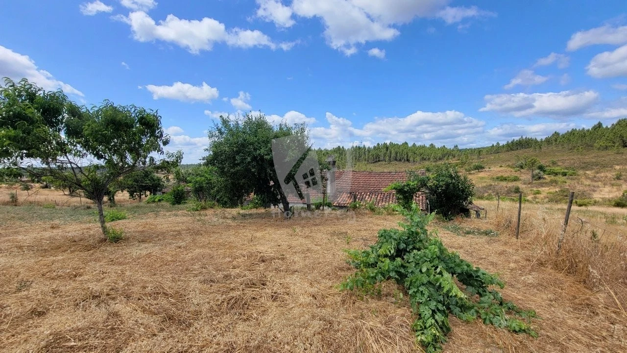 Quinta T4 para Venda em Sarzedas Foto 63