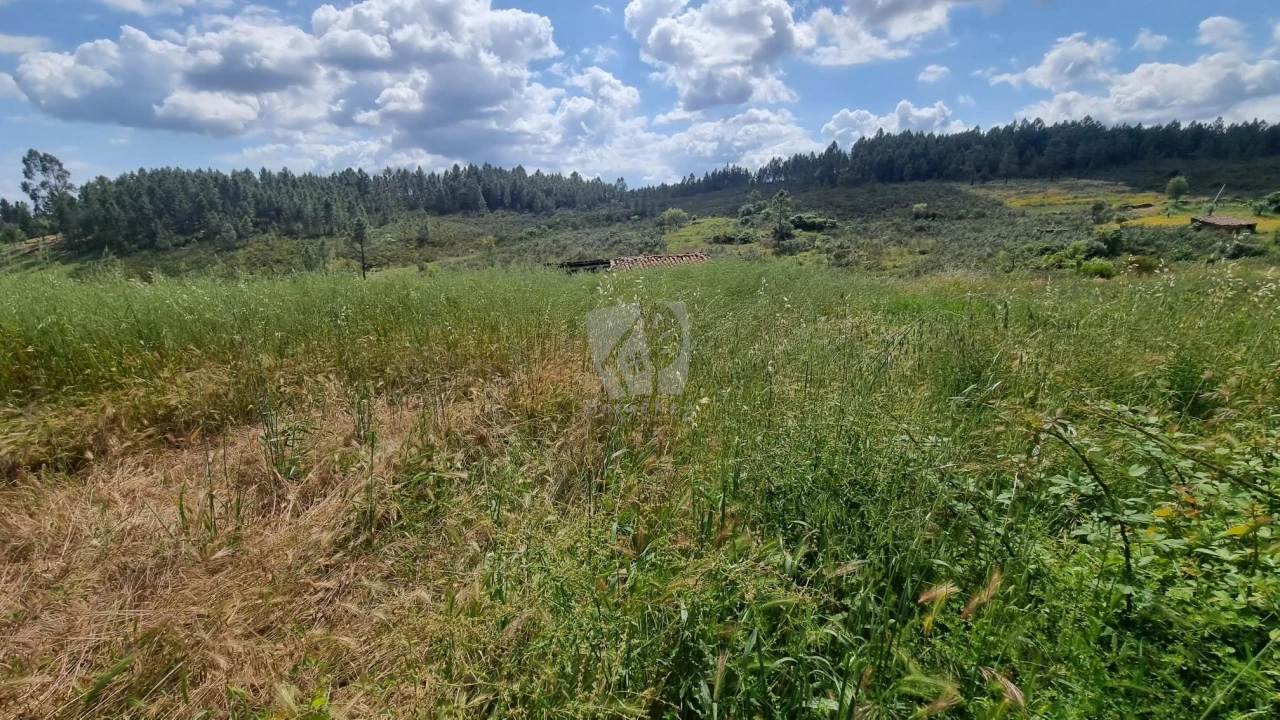 Quinta T4 para Venda em Sarzedas Foto 34