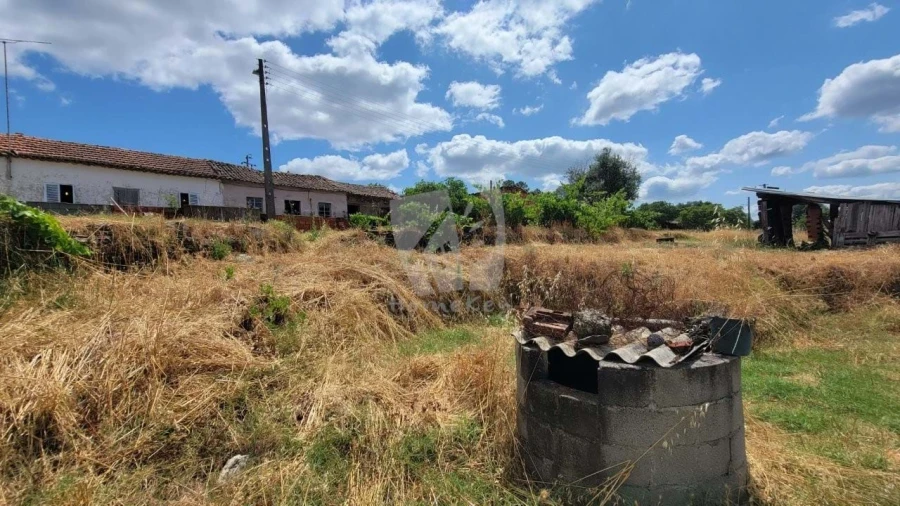 Quinta T4 para Venda em Sarzedas Foto 69