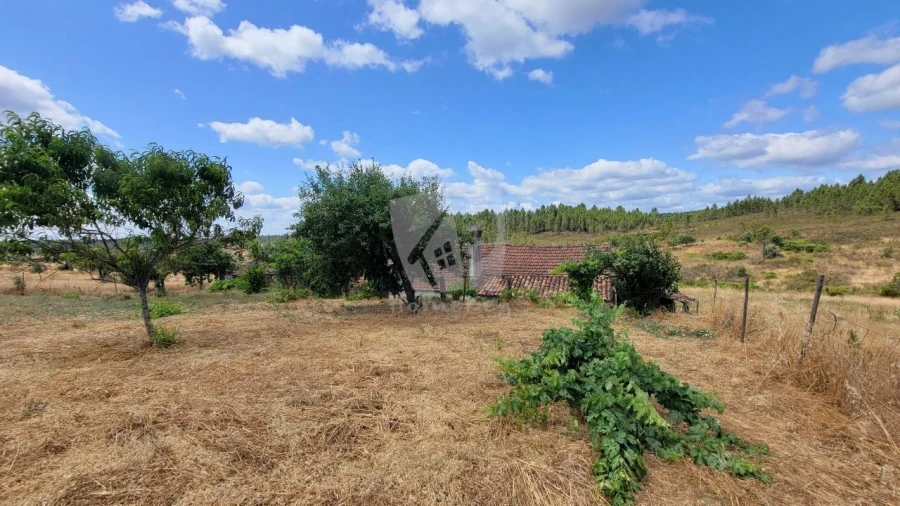 Quinta T4 para Venda em Sarzedas Foto 63