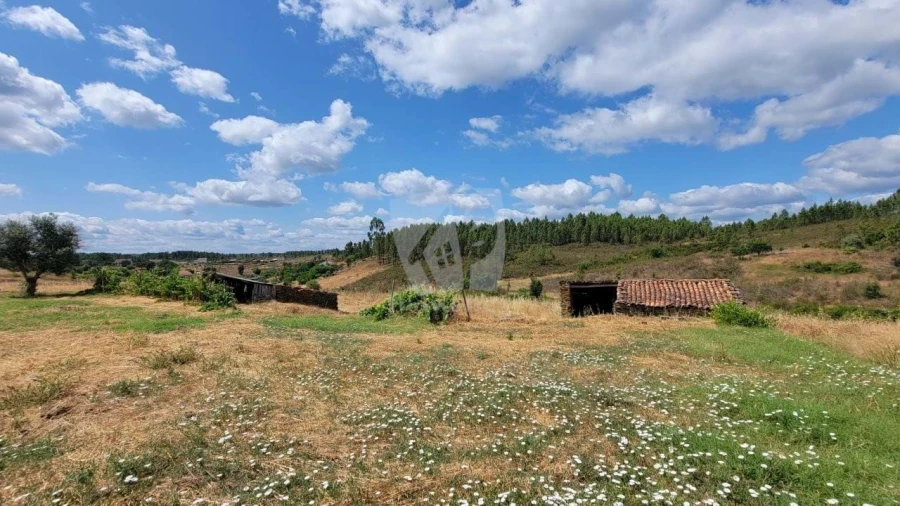 Quinta T4 para Venda em Sarzedas Foto 47
