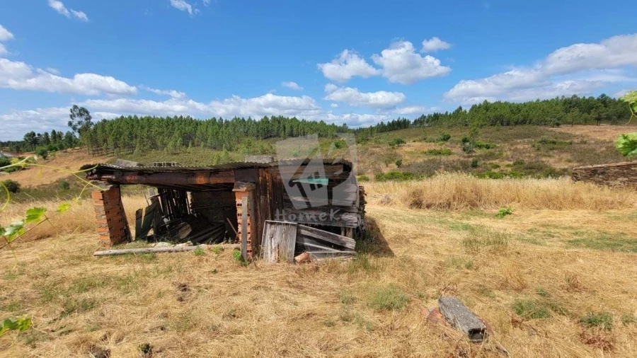 Quinta T4 para Venda em Sarzedas Foto 66