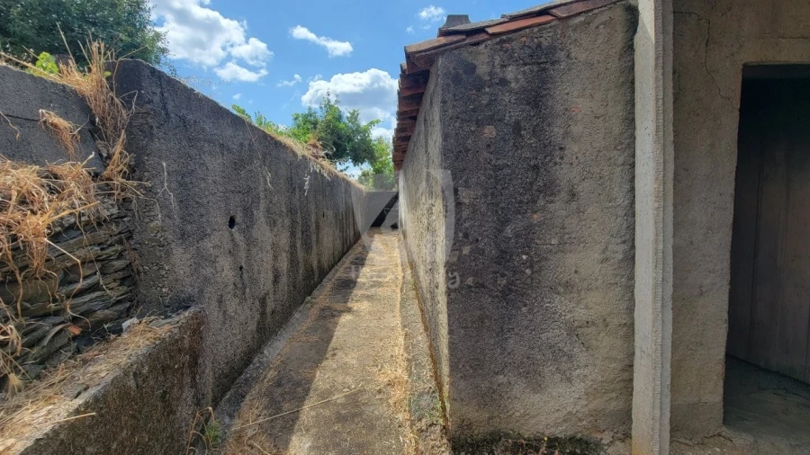 Quinta T4 para Venda em Sarzedas Foto 22