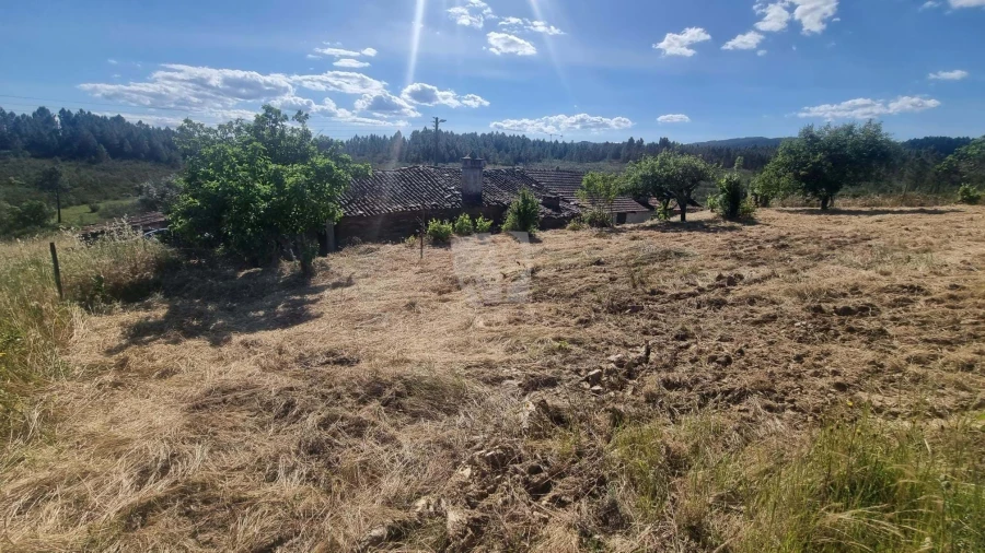 Quinta T4 para Venda em Sarzedas Foto 42