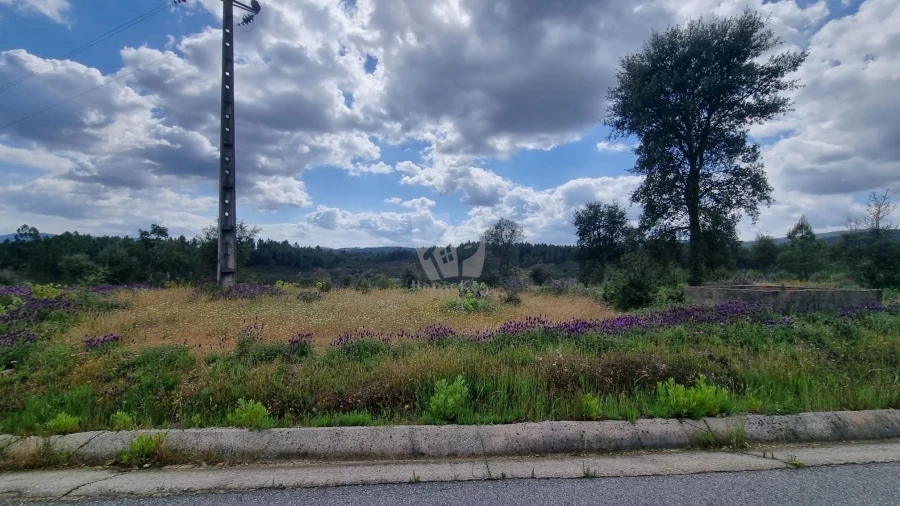 Quinta T4 para Venda em Sarzedas Foto 38